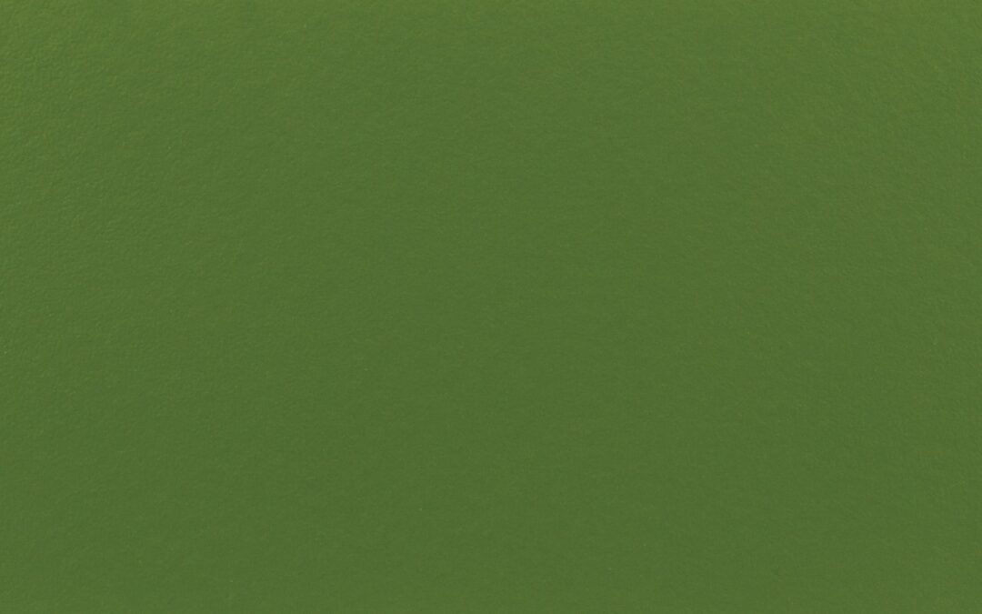 Surround® - Greenback