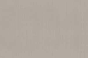 A plain, minimalist background featuring a soft, light gray color with subtle vertical streaks. The texture is smooth and uniform, suggesting a modern, clean design.