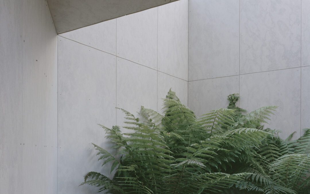 A minimalist patio corner with smooth concrete walls, large green ferns, and a round table with two chairs on a wooden floor. Soft natural light enters the serene, modern space.