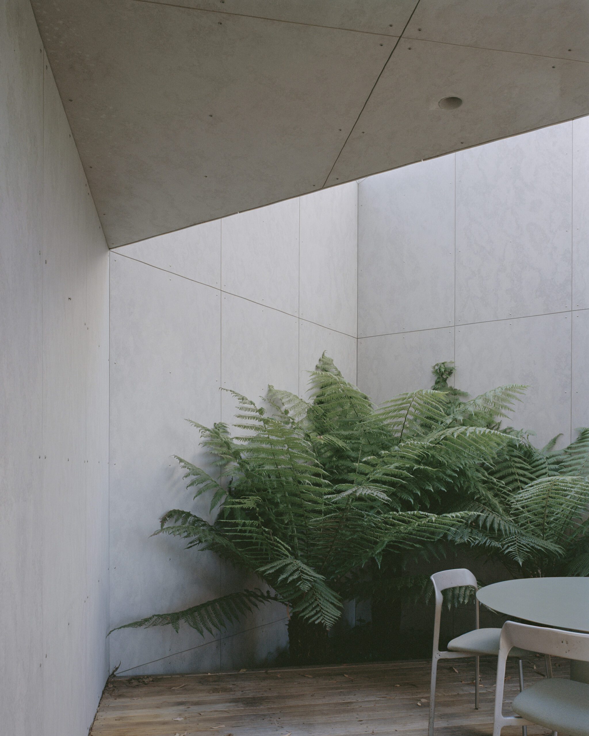 A minimalist patio corner with smooth concrete walls, large green ferns, and a round table with two chairs on a wooden floor. Soft natural light enters the serene, modern space.